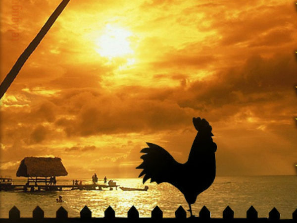 Mukkanuma 2019: Fourth Day of Sankranti Festival Mukkanuma 2019: Fourth Day of Sankranti Festival