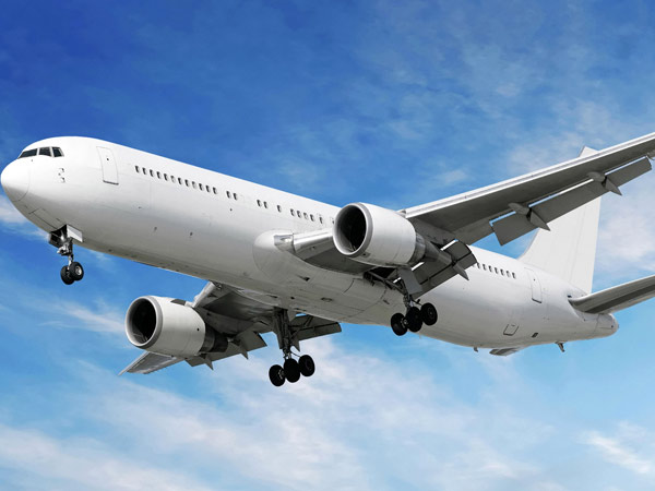 Teenager falls unconscious in flight just before take-off at Kolkata airport, dies Teenager falls unconscious in flight just before take-off at Kolkata airport, dies