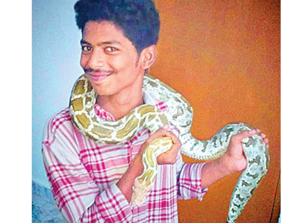 snakes sale viral in social media, forest officers attack snakes sale viral in social media, forest officers attack