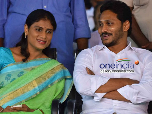 వైవీని పక్కన పెట్టి షర్మిలను తెరపైకి తేవడానికి కారణం