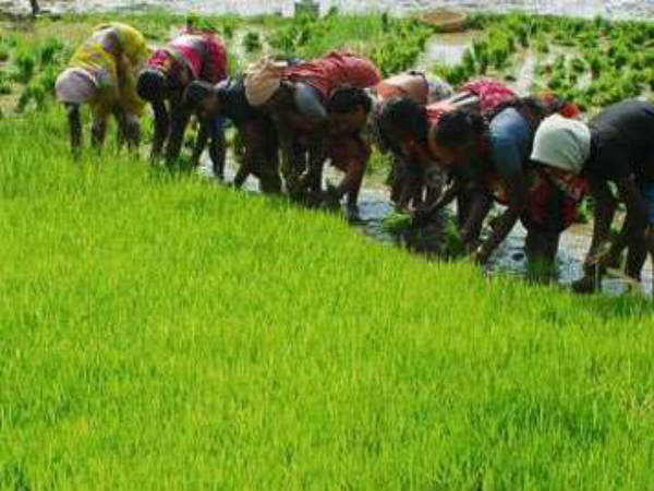 Can Rythu bandhu scheme stop ..? says parda saradi Can Rythu bandhu scheme stop ..? says parda saradi