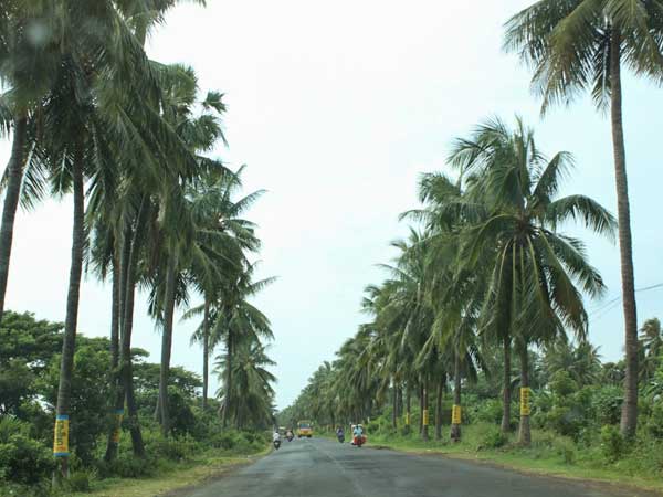 #LokSabhaElection2019: All about Kakinada Constituency #LokSabhaElection2019: All about Kakinada Constituency