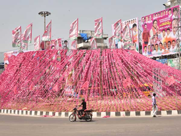 ఘన స్వాగతం.. గులాబీమయం