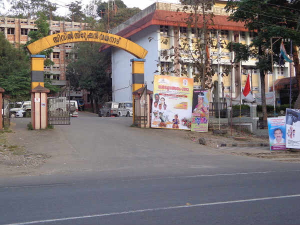 వాయనాడే ఎందుకు?
