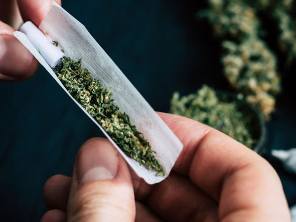 Shocking ... marijuana trafficking in the Padmakshi bunds..Youth in intoxication Shocking ... marijuana trafficking in the Padmakshi bunds..Youth in intoxication