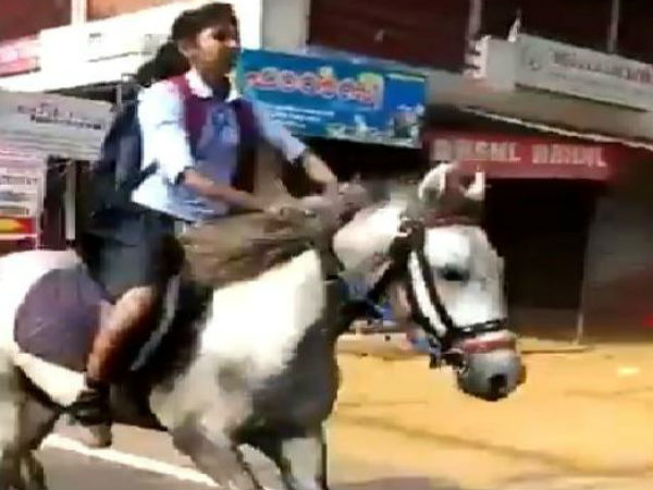గుర్రం పై ఎందుకు వెళ్లావు ?