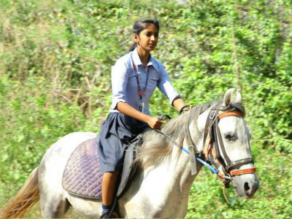 వీడియో చూసిన అనంద్ మహింద్ర ఆశ్చర్యం