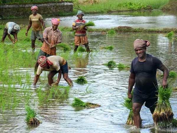 మోడీ, రాహుల్ పై పోటీ ద్వారా దేశం దృష్టిని ఆకర్షించే యత్నం .. సమస్య పరిష్కారం కోసం రైతన్నల నిర్ణయం