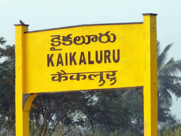 AndhraPradeshElections2019: All about Kaikalur Constituency AndhraPradeshElections2019: All about Kaikalur Constituency