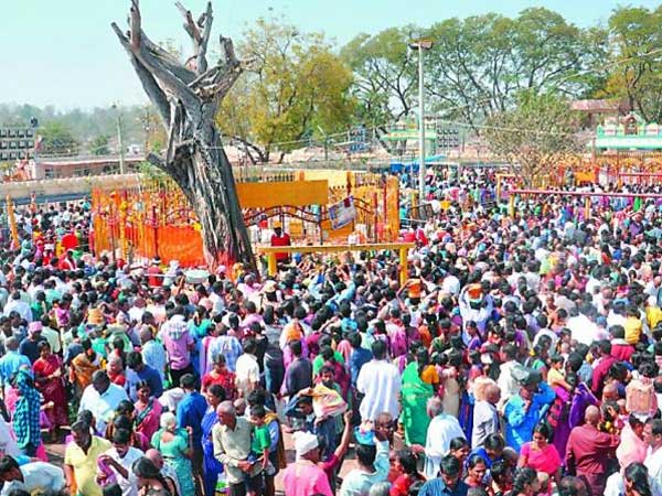 ఫిబ్రవరి 5 నుండి ఫిబ్రవరి 8 వరకు నాలుగు రోజుల పాటు మహా జాతర