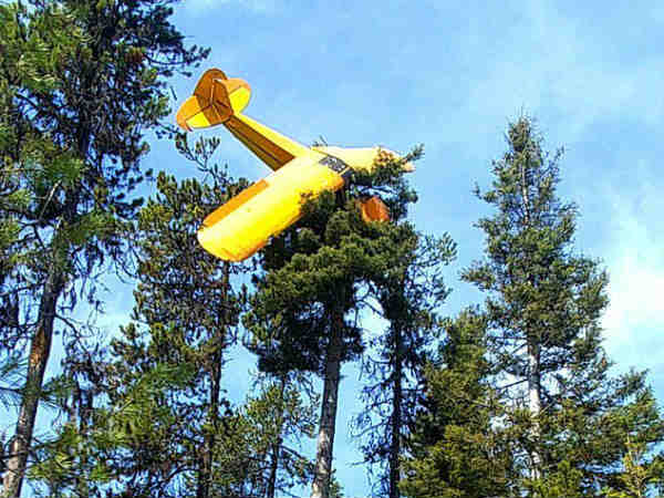 Plane lands Atop Tree of a 60-feet Plane lands Atop Tree of a 60-feet