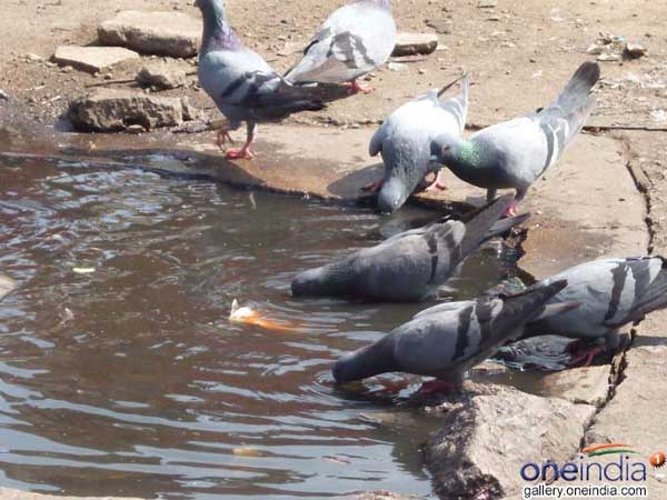 జలాశయాల్లో తగ్గుతున్న నీటిమట్టం..!!