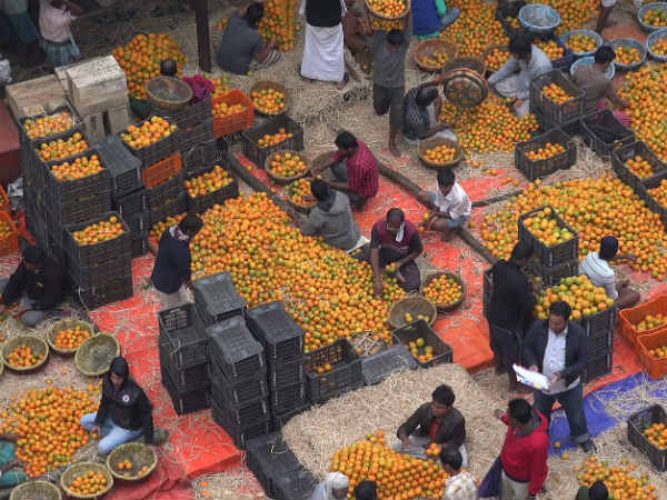 తక్కువ ధరకే చైనా పల్ప్