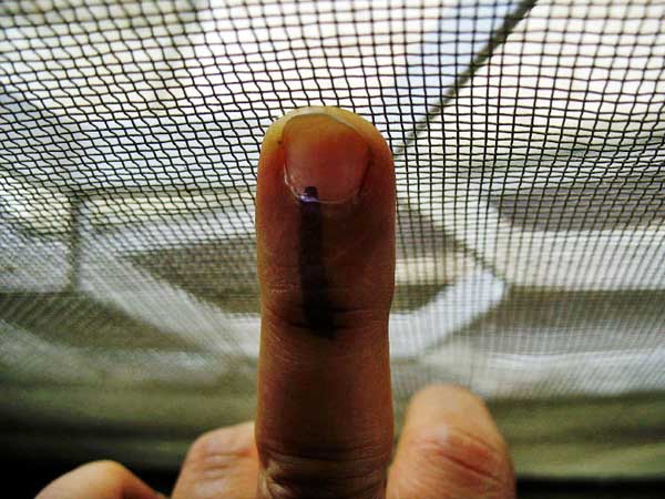 చెరగని సిరా గుర్తు
