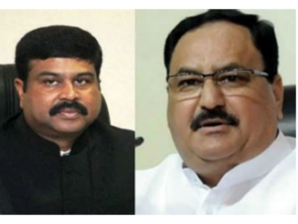 who will elect a bjp chief ? who will elect a bjp chief ?