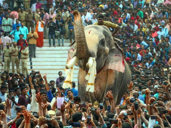 రామచంద్రన్ 13 మంది ప్రాణాలు తీసింది