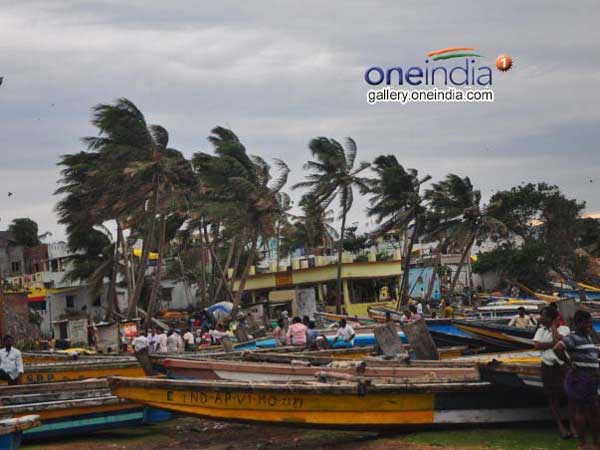 ఫణి తుఫానులో 29 మంది మృతి