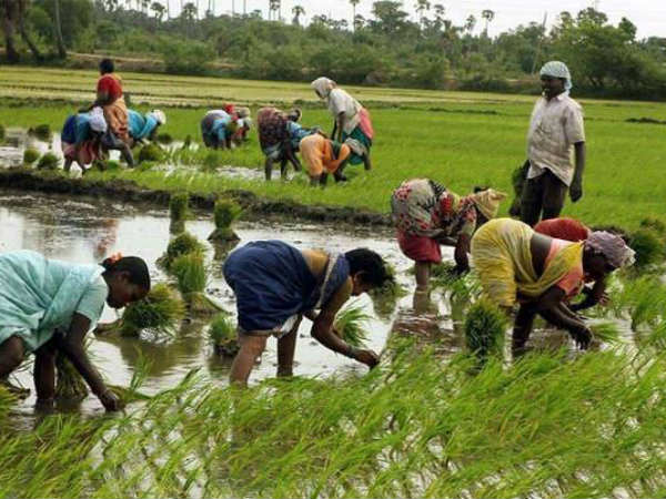 ఖరీఫ్ సీజన్కు రైతు బంధు