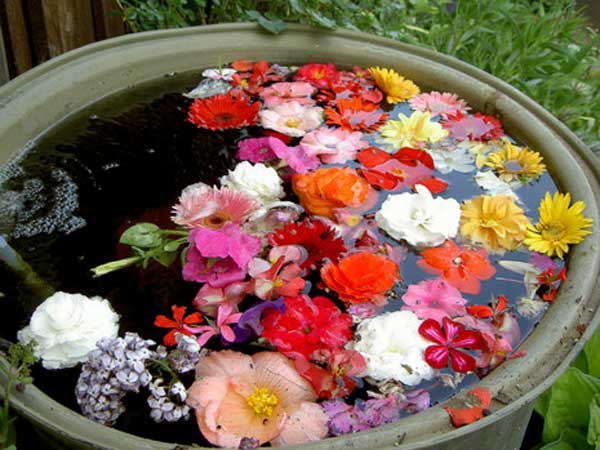 Importance Of Flowers During Pooja Time Importance Of Flowers During Pooja Time