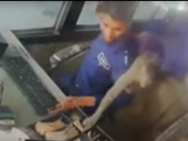 Monkey steals Rs 5,000 cash from a toll booth Monkey steals Rs 5,000 cash from a toll booth