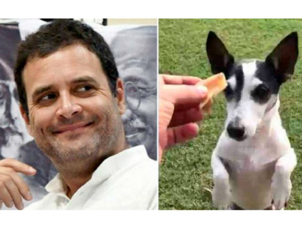 పిడితో అలా షికారు ..