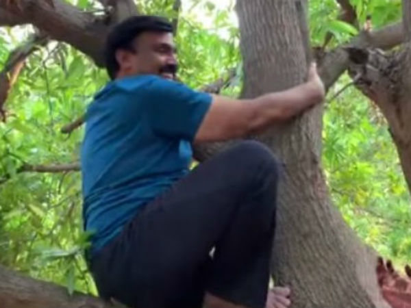 Gali Janardhan Reddys video in which he is climbing mango tree becomes viral on social media Gali Janardhan Reddys video in which he is climbing mango tree becomes viral on social media