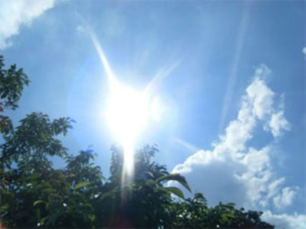 Severe heat waves to hit India,warns weather department Severe heat waves to hit India,warns weather department