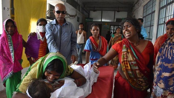 పిల్లలు అల్లాడుతుంటే ..
