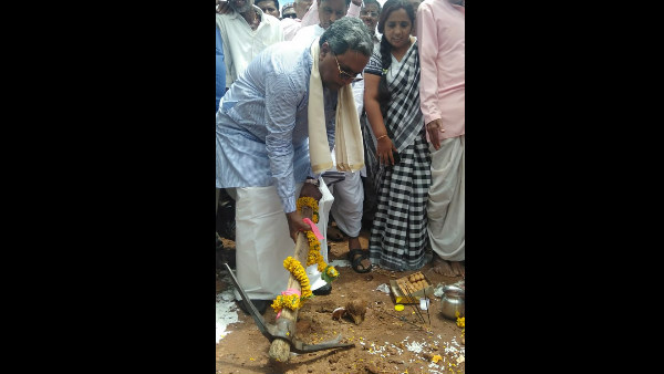 మధ్యంతర ఎన్నికలు