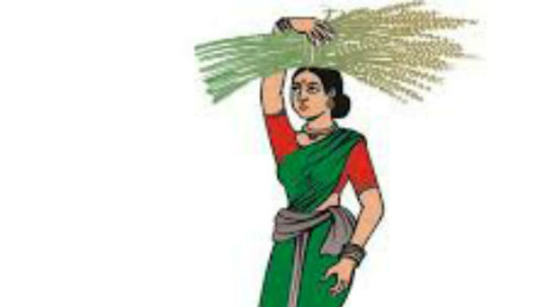 జేడీఎస్లో విభేధాలు