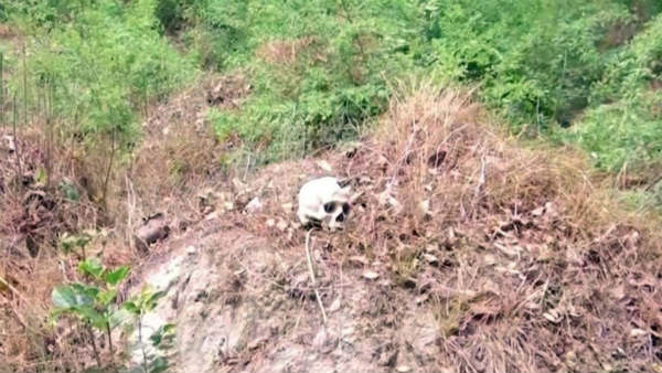 3-day deadline to solve Muzaffarpur skeletons mystery: Probe begins 3-day deadline to solve Muzaffarpur skeletons mystery: Probe begins