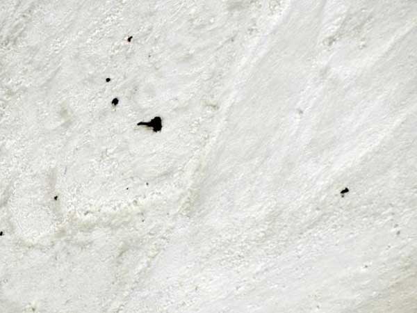 A search team in the Indian Himalayas has spotted five bodies A search team in the Indian Himalayas has spotted five bodies