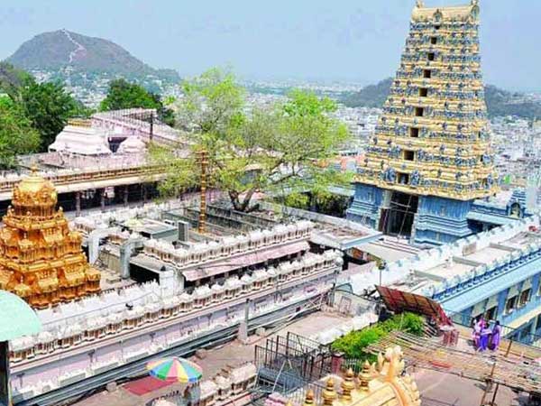 తాంత్రిక పూజలపై ఆరా..