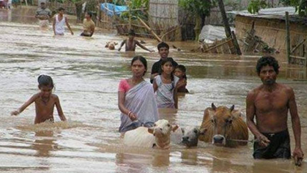 కొనసాగుతున్న సహాయక చర్యలు