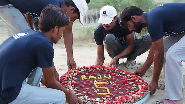 An elephant rescued from captivity to celebrate its 5 years freedom An elephant rescued from captivity to celebrate its 5 years freedom