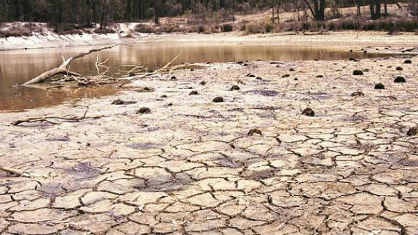 కరువు కోరల్లో సగం రాష్ట్రం