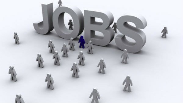 NVS recruitment 2019 apply for PGT,TGT and Various Vacancies NVS recruitment 2019 apply for PGT,TGT and Various Vacancies