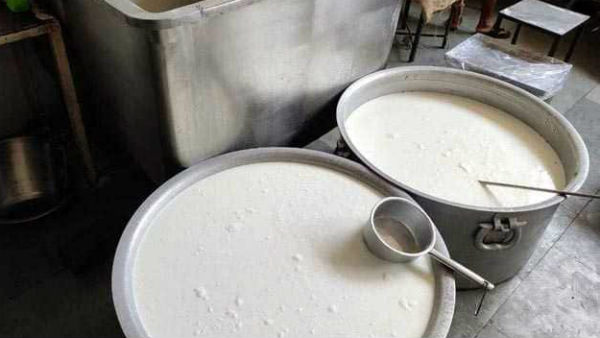 Three factories producing highly toxic synthetic milk raide Three factories producing highly toxic synthetic milk raide