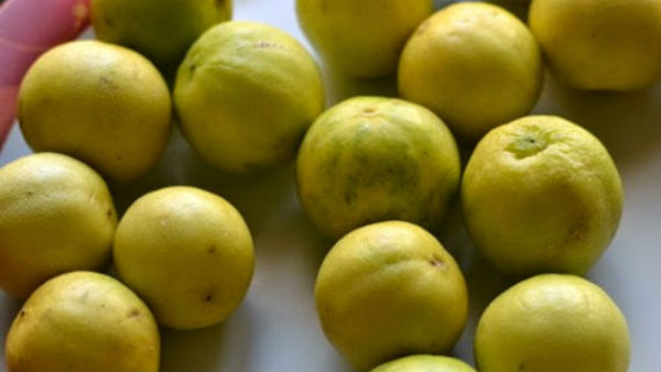 నిమ్మకాయలు సీజ్