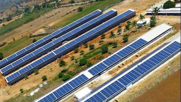 1,700 సోలార్ పలకలు ధ్వంసం..! గుర్తుతెలియని వ్యక్తుల చర్య..!!