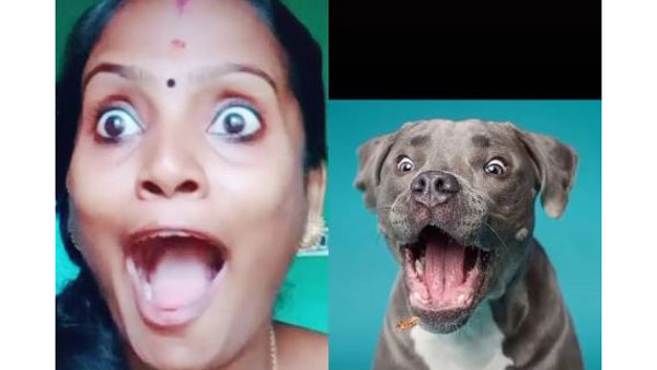 టైమ్ పాస్ చెత్త