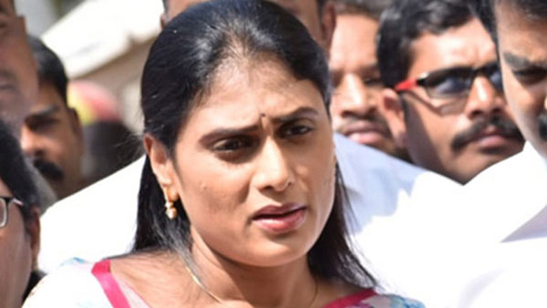 షర్మిళకు పదవి పైన జగన్ చర్చలు..