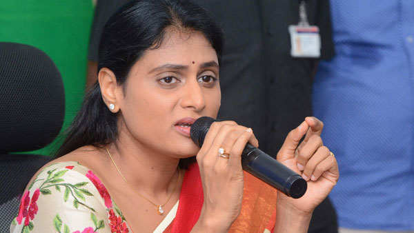 ఢిల్లీలో అధికార ప్రతినిధిగా అవకాశం...