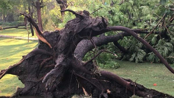 ఆ దొంగల పనేనా ఈసారి కూడా..!
