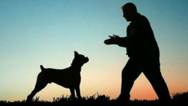 Munna Singh arrested in Mumbai on the allegation of sexual assault on stray dog. Munna Singh arrested in Mumbai on the allegation of sexual assault on stray dog.