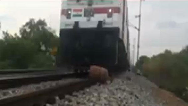 Young man put LPG Gas Cylinder under the running train for views and likes Young man put LPG Gas Cylinder under the running train for views and likes
