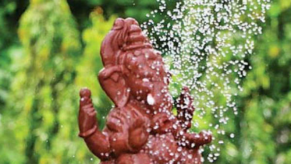 బిగ్ గ్రీన్ గణేశ్ ..