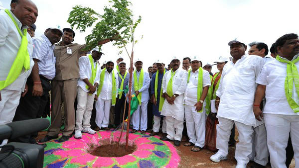 ఊరూరా ఉద్యమంలా.. పది జిల్లాలు పచ్చబడేలా..!