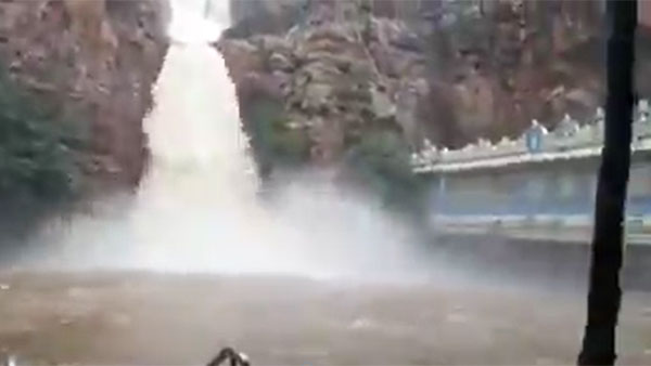 heavy rains on Tirumala hills saw the two waterfalls Kapilatheertham and Malavanigunta huge flows heavy rains on Tirumala hills saw the two waterfalls Kapilatheertham and Malavanigunta huge flows
