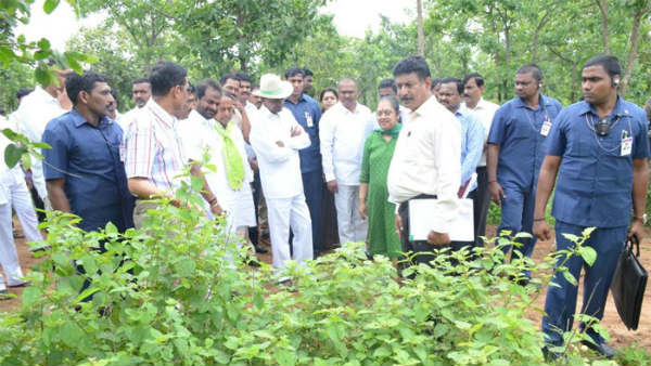 cm kcr forest tour in komatibanda with collectors cm kcr forest tour in komatibanda with collectors